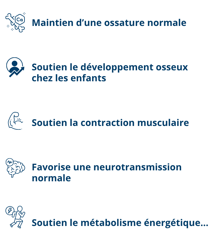 Les effets à attendre du lithothamne