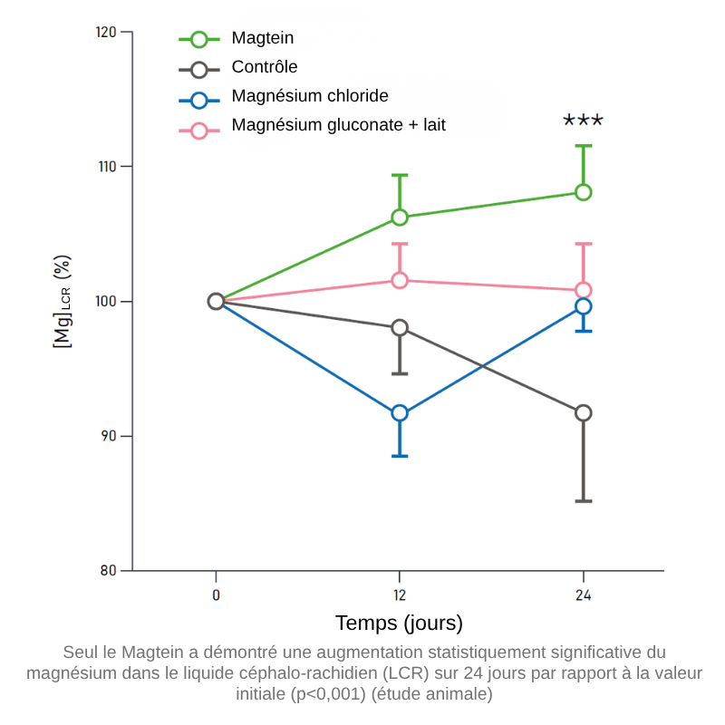 magnésium L-thréonate (Magtein®), la seule forme de magnésium pour augmenter les niveaux de magnésium dans le cerveau