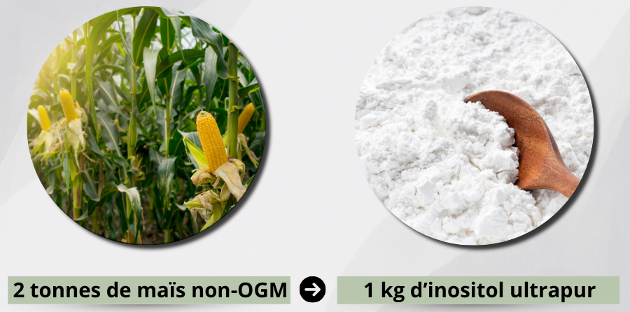2 tonnes de maïs sont nécessaires pour produire 1 kg d'inositol ultra-pur, sans additif