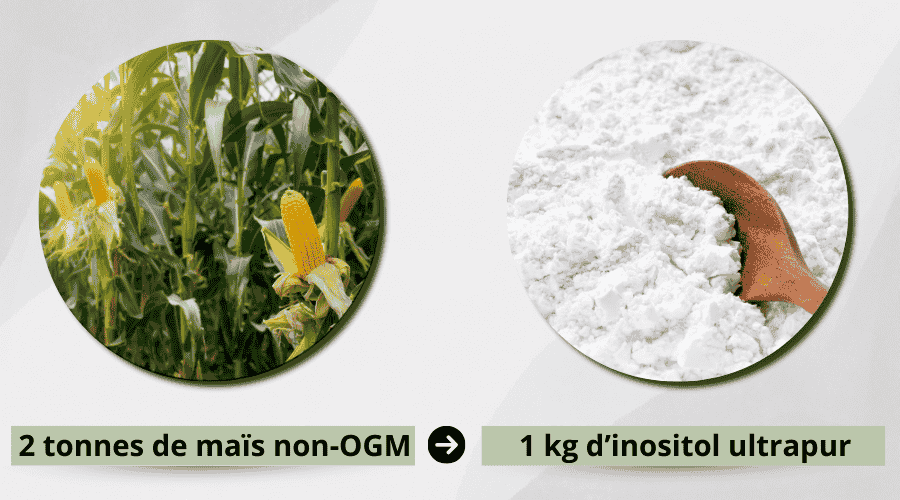 2 tonnes de maïs sont nécessaires pour produire 1 kg d'inositol ultra-pur, sans additif