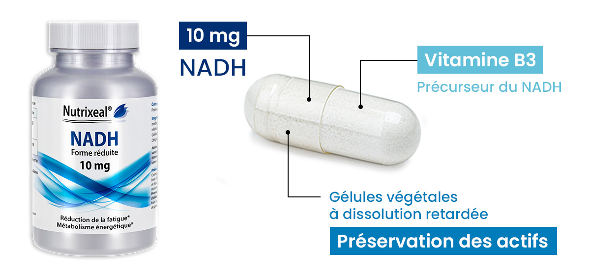 NADH Nutrixeal Nicotinamide Adénine Dinucléotide réduit