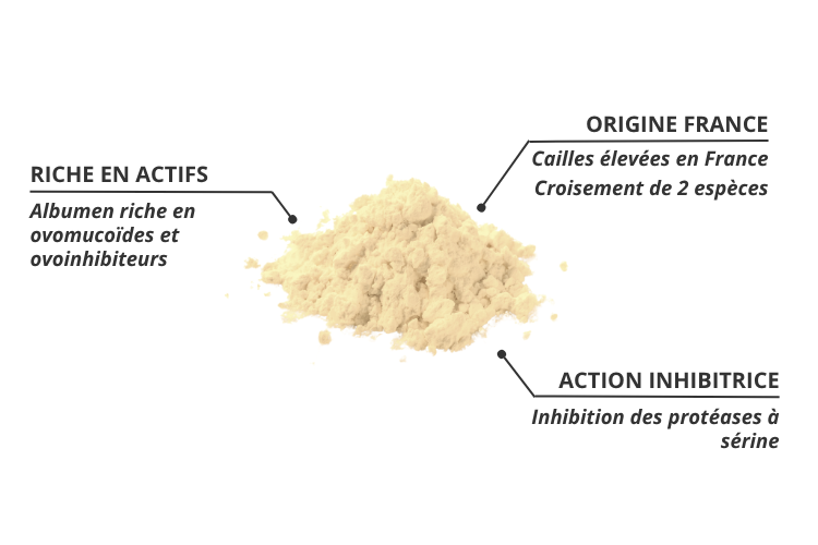 les points forts des oeufs de caille dans Nutrallerg