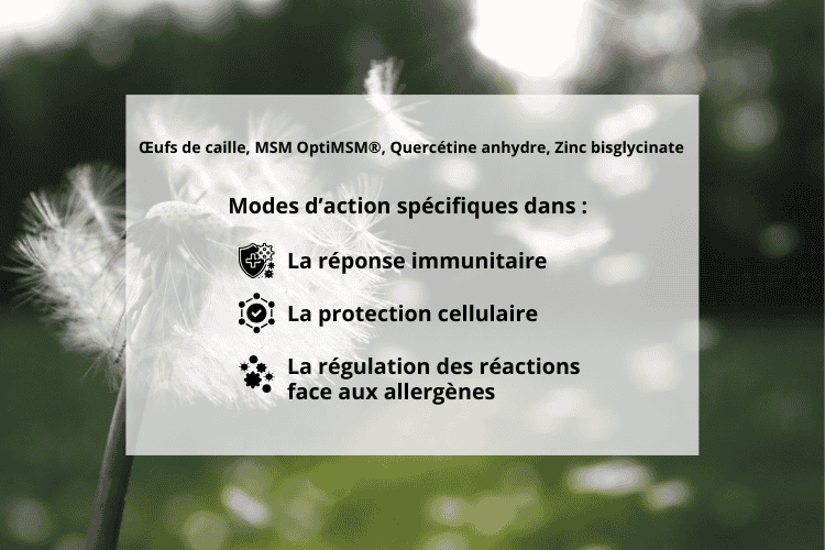 Les atouts de Nutrallerg