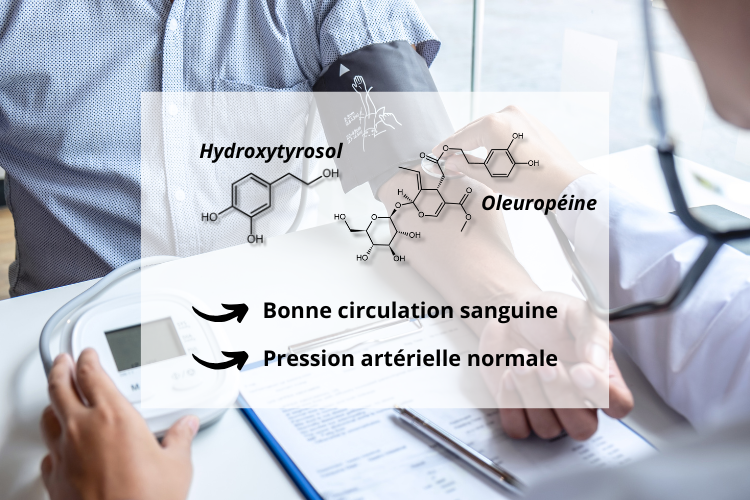 Effets santé du produit Oleurovital