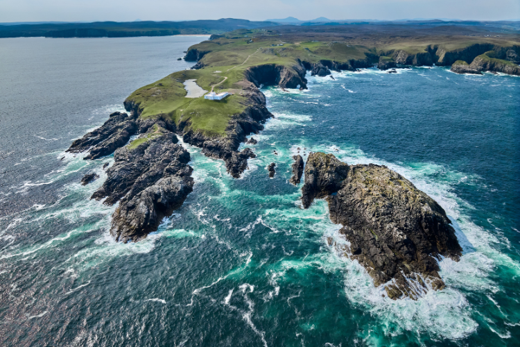 Iode naturelle de l'algue marine kelp bio