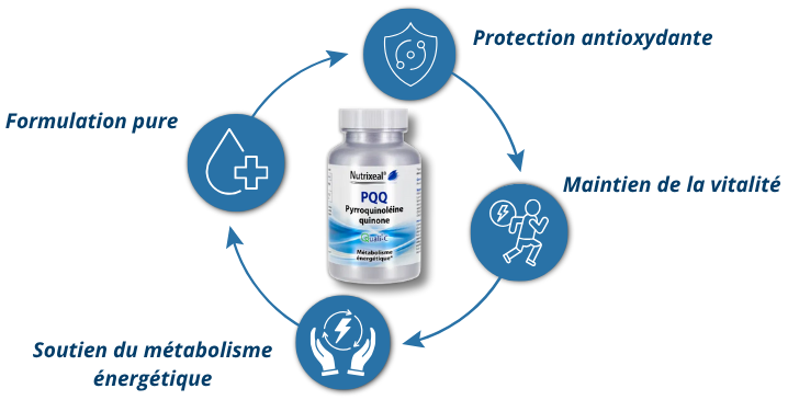 Pour qui La pyrroquinoléine-quinone (PQQ) 