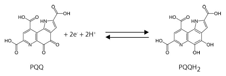 Réaction d'oxydoréduction de la pyrroquinoléine-quinone