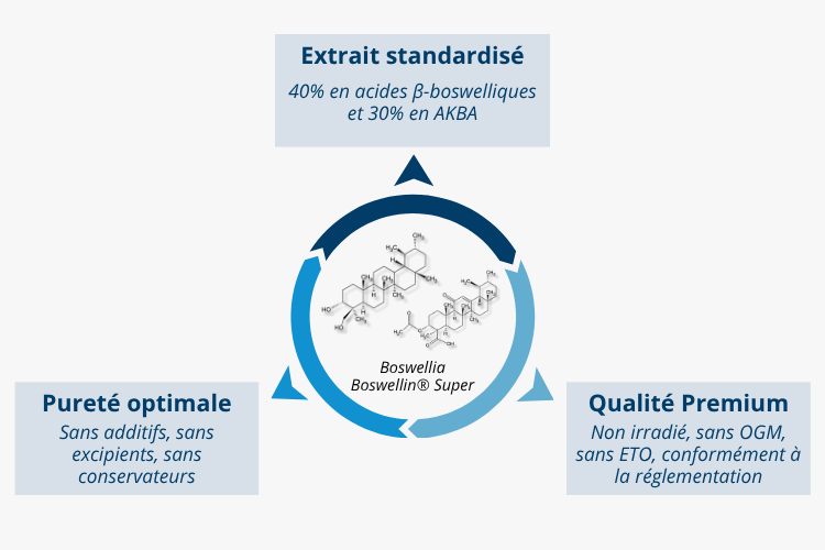 Boswellia et curcumine : Phytoactifs de référence pour la modulation inflammatoire