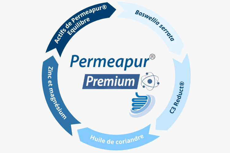 Permeapur® Premium, une formule experte, développée pour accompagner les situations digestives exigeantes et la fragilisation persistante de la barrière intestinale.