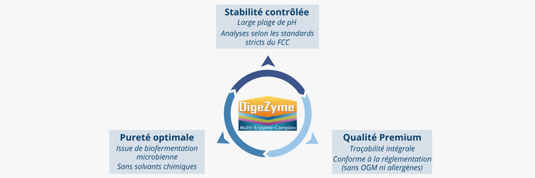 Complexe de cinq enzymes digestives (alpha-amylase, protéase neutre, lactase, cellulase, lipase)
