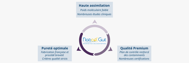 Hydrolysat de collagène marin breveté fabriqué en France, Naticol® Gut