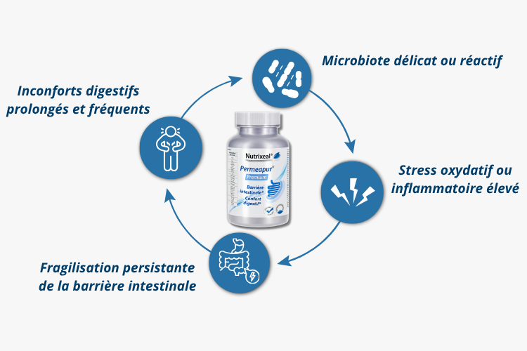 Permeapur® Premium pour qui ?