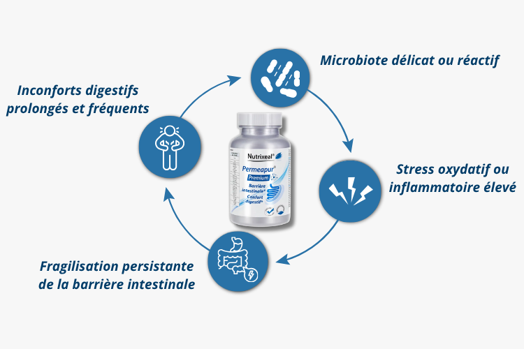 Permeapur® Premium pour qui ?