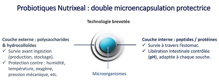 Double microencapsulation des probiotiques