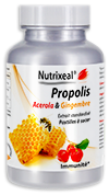 propolis purifiée associée à de la vitamine C et du gingembre
