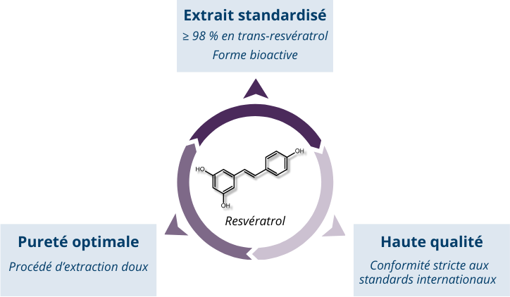 Resvératrol : un stilbène hautement purifié et traçable