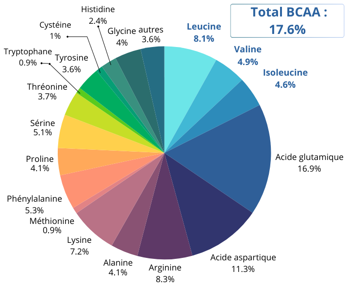 Isolat de protéines de pois BIO.