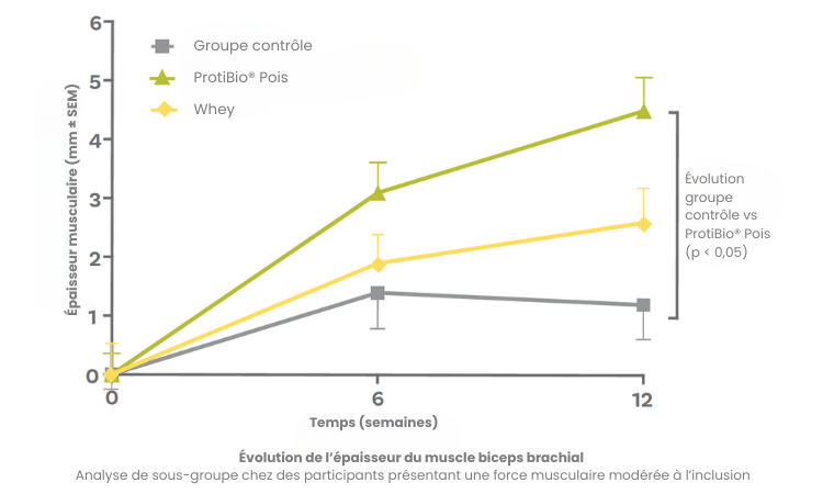 Isolat de protéines de pois BIO.