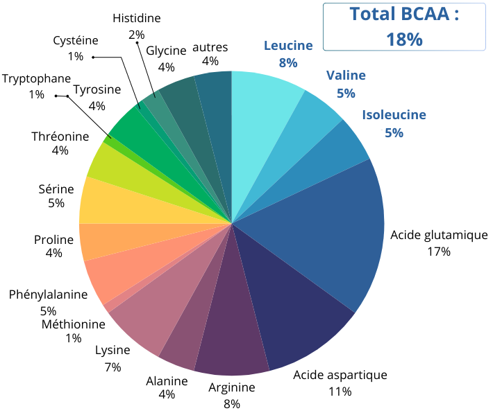 Profil d'acides aminés d'Isolat de protéines de pois BIO
