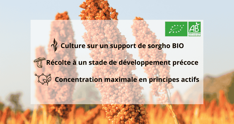 Culture biologique