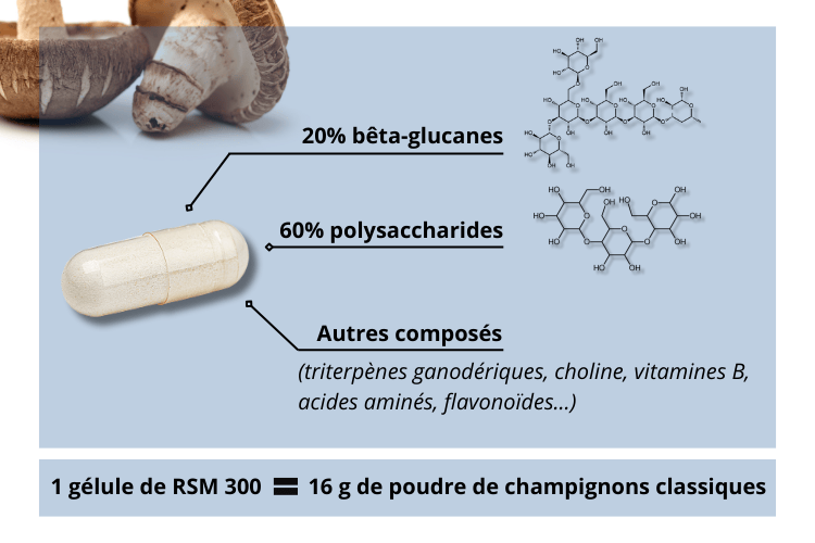 Extraits standardisés de champignons