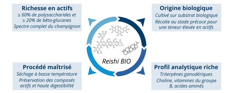 Les atouts du Reishi BIO Nutrixeal®