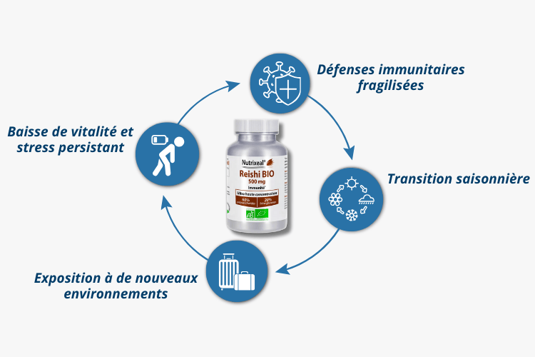 Pour qui le Reishi BIO concentré et standardisé à 60% de polysaccharides et 20% de bêta-glucanes.