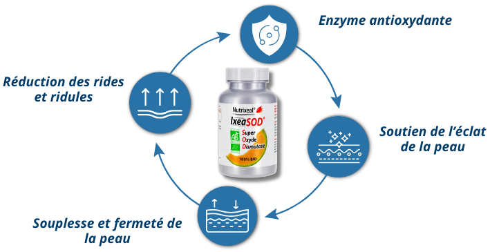 Pour qui IXEASOD à base de SOD (Super Oxyde Dismutase) de melon BIO de qualité Extramel® ?