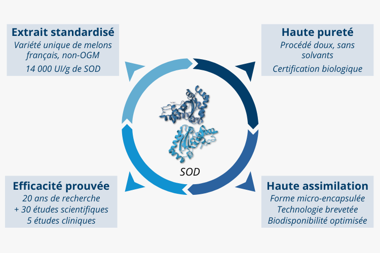 Les points forts de la SOD (Super Oxyde Dismutase) de melon BIO de qualité Extramel® de Nutrixeal