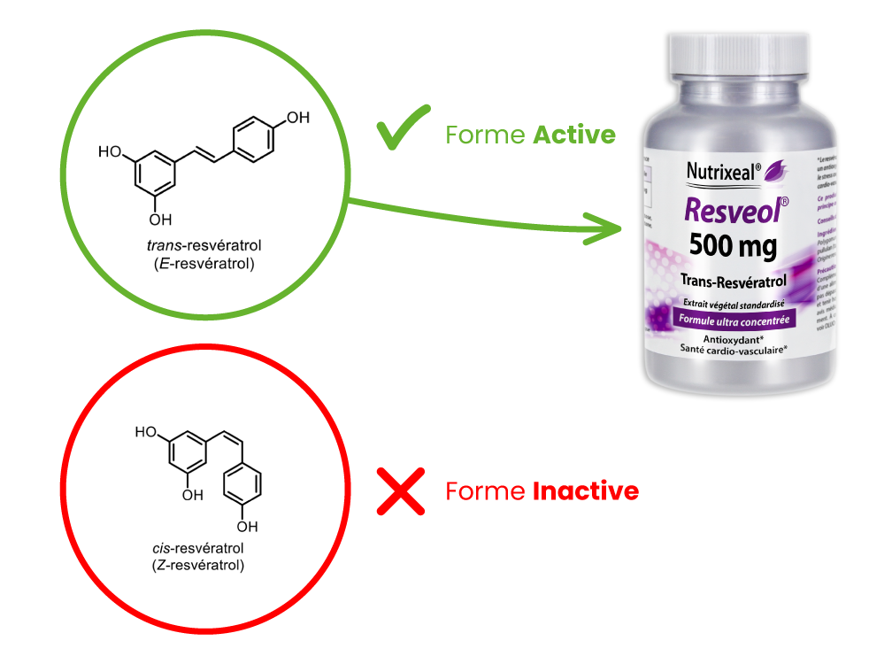 Forme active de resvératrol : trans-resvératrol (E-resvératrol)