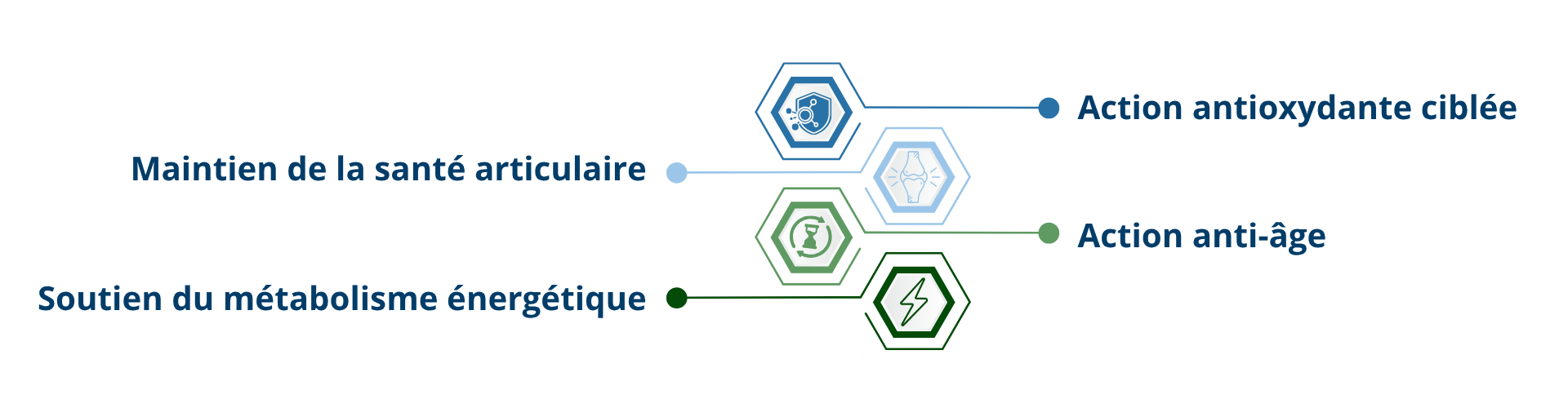 les bienfaits du Shilajit de l'Himalaya