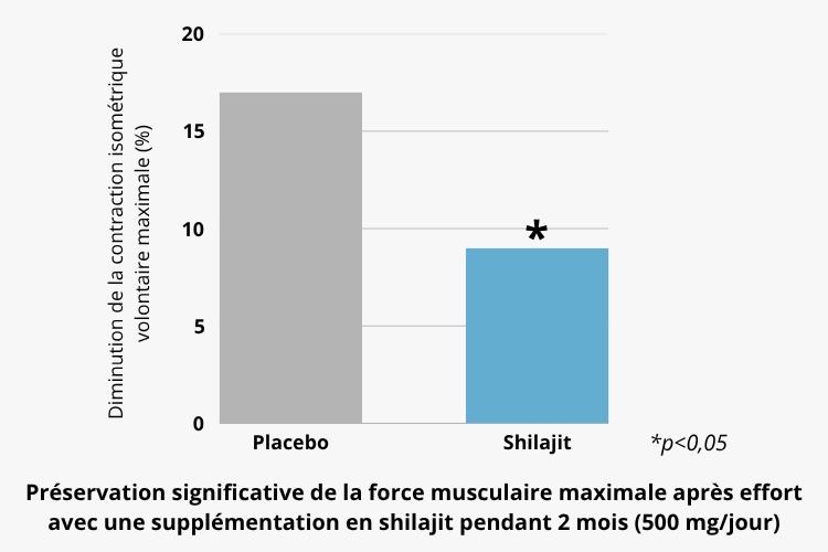 Bienfaits antioxydants du Shilajit de l'Himalaya