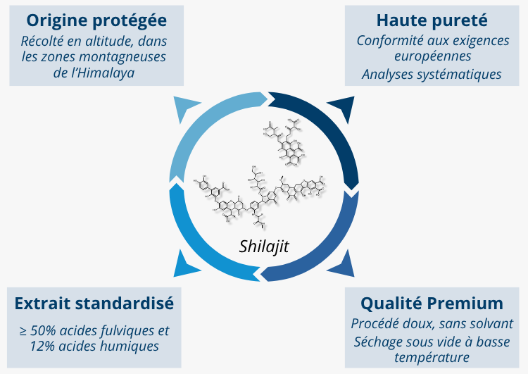 Les atouts forts du Shilajit de l'Himalaya Nutrixeal
