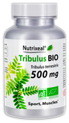 Tribulus terrestris BIO standardisé à 40% de saponines