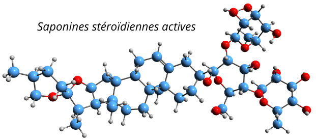 Tribulus terrestris BIO standardisé à 40% de saponines