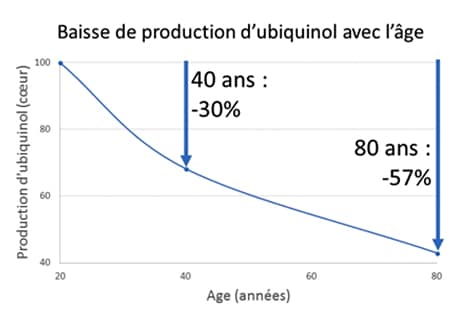la production de l'ubiquinol baisse avec l'âge