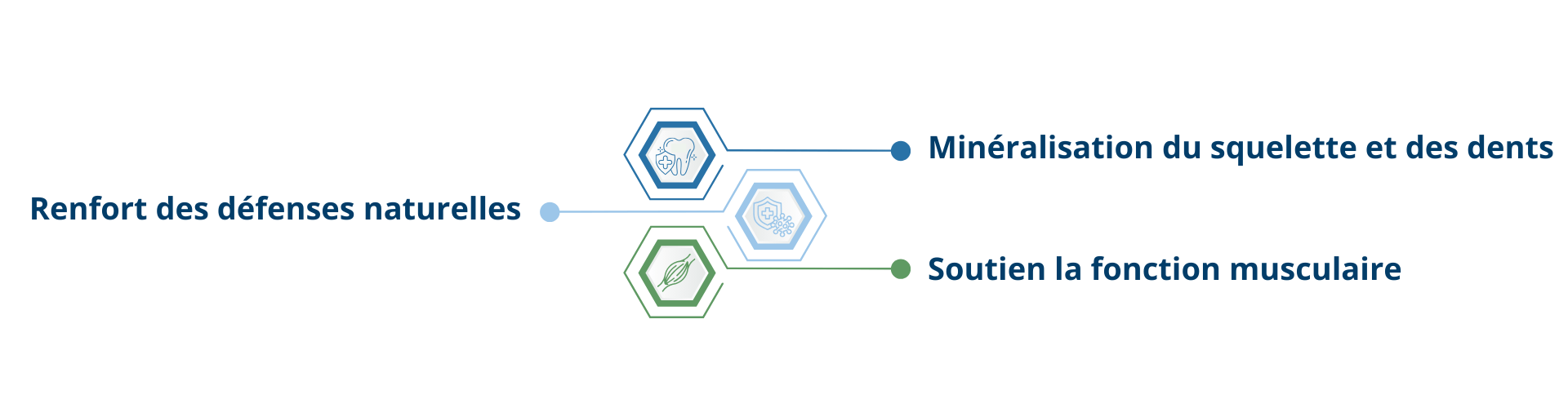 Les bienfaits de la Vitamine D3 issue de lichen BIO