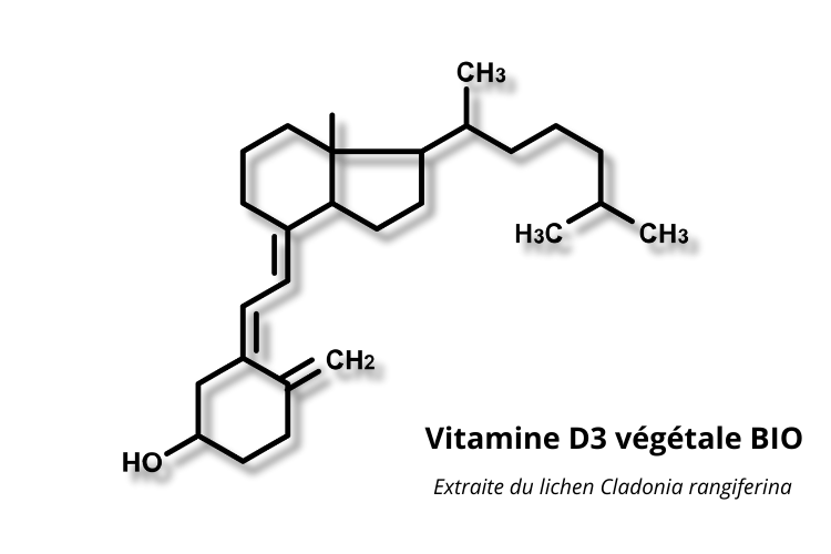 Vitamine D3 issue de lichen BIO : 2000 UI
