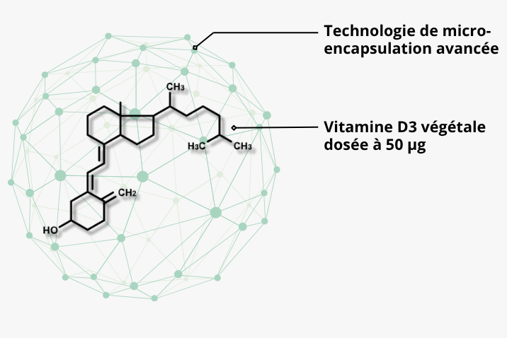 Ultra-D3 V : une formulation végétale de qualité pharmaceutique
