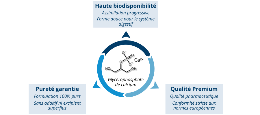 Les atouts du glycérophosphate de calcium dans UltraCal®