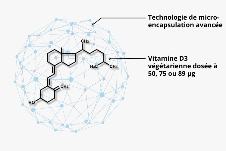 vitamine D3 d’origine végétarienne, issue de lanoline de laine de moutons,
