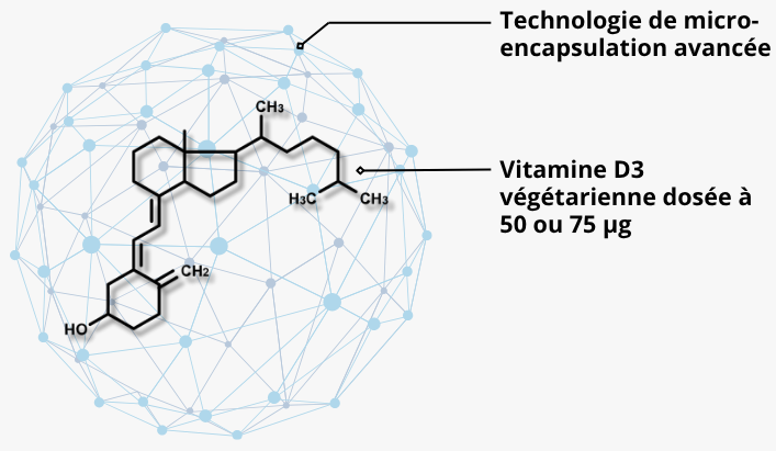 vitamine D3 d’origine végétarienne, issue de lanoline de laine de moutons,