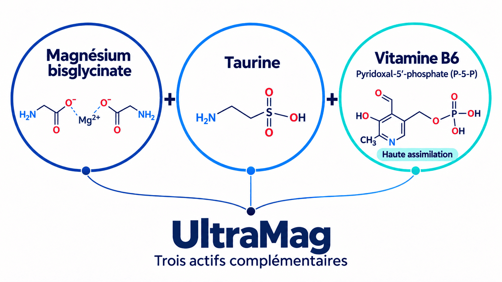 actifs synergiques du magnésium