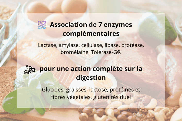 UltraZym® associe sept enzymes complémentaires, naturelles, sûres et bien tolérées