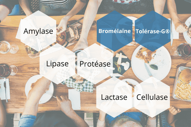 la composition d'ultrazym