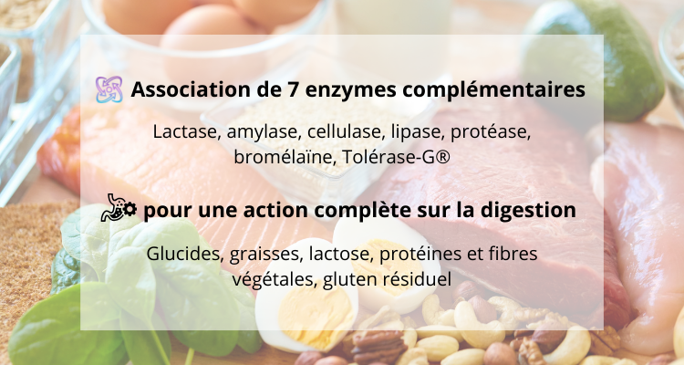 UltraZym® associe sept enzymes complémentaires, naturelles, sûres et bien tolérées
