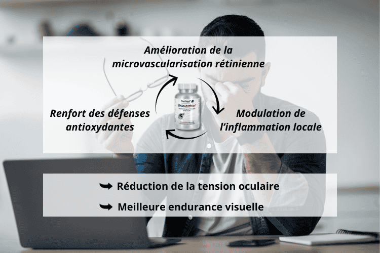 Visioxanthine bienfaits sur la fatigue oculaire