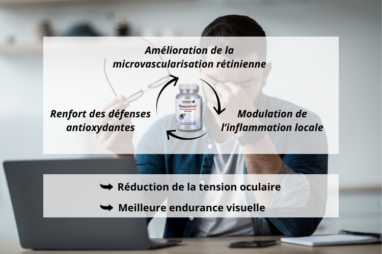 Visioxanthine bienfaits sur la fatigue oculaire