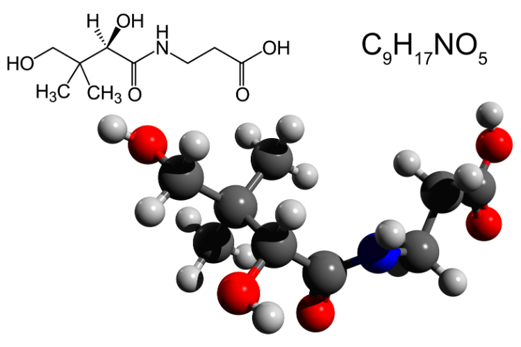 Une gélule de CurcumActif 2 500 mg correspond à plus de 10 cuillères à soupe de poudre de curcuma