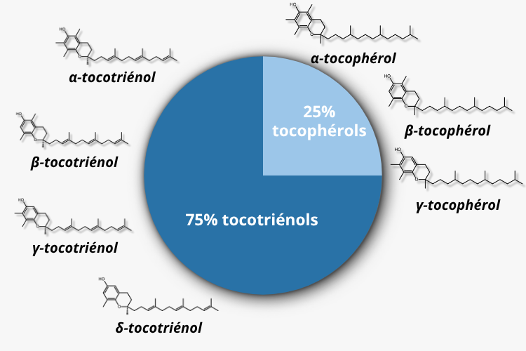 Une vitamine E au spectre large pour une efficacité optimale